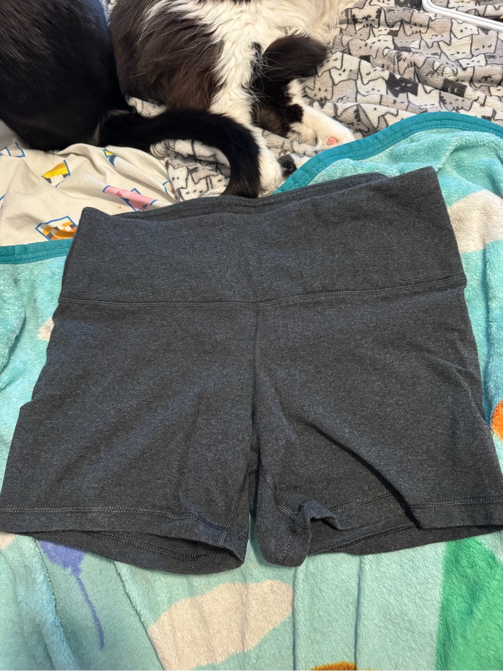 Women's High-Waist Charcoal Stretch Active Shorts 90 Degree by reflex Large